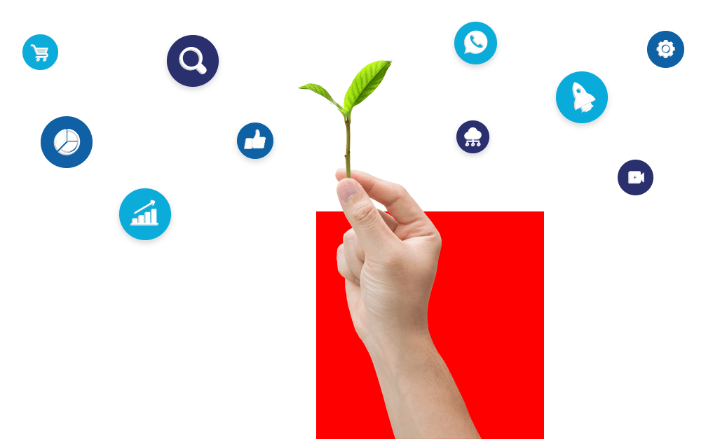 marketing-seed
