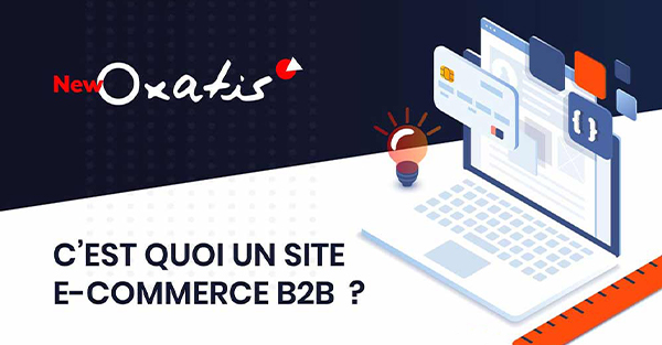 Infographie B2B – C’est quoi un site e-commerce de vente aux pros ?