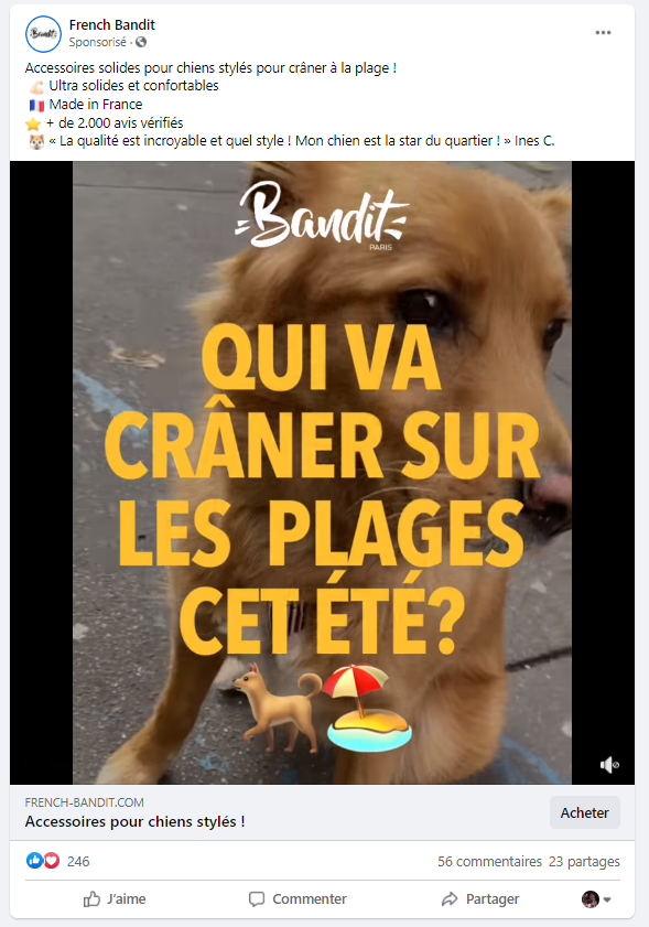 Facebook ads exemple